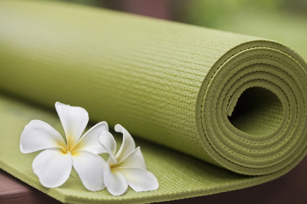 livre sur le yoga - Les 7 meilleurs livres pour apprendre le Yoga - beauté/santé - guide - le jardin de DB